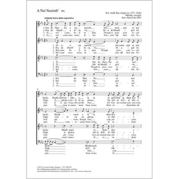 A Na&iacute; Naoimh'