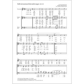 Sollt ich meinem Gott nicht singen