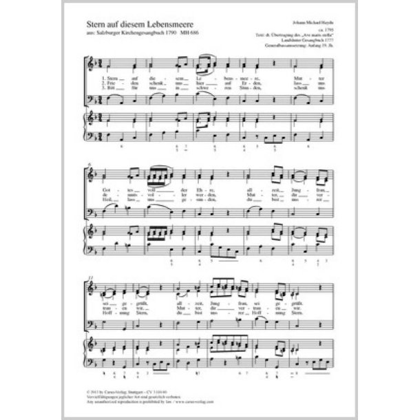 Stern auf diesem Lebensmeere : aus: Salzburger Gesangsbuch 1790