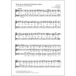Wenn du im Schutz des Höchsten wohnst : aus: Sechs Psalmen