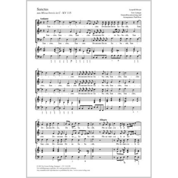 Sanctus : aus: Missa brevis in C