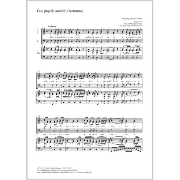 Due pupille amabili : Notturno