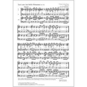 Luci care, luci belle : F-Dur