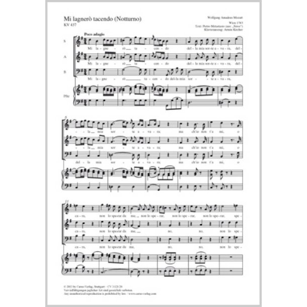 Mi lagner&ograve; tacendo : Notturno