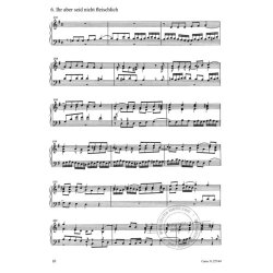 Jesu, meine Freude BWV 227 : e-Moll