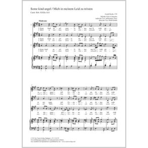 Some kind angel [Mich in meinem Leid zu trösten]