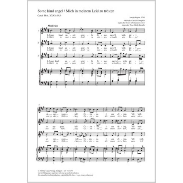 Some kind angel [Mich in meinem Leid zu tr&ouml;sten]