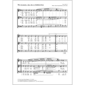 Wie kommts, dass du so fröhlich bist : B-Dur