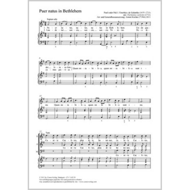 Puer natus in Bethlehem