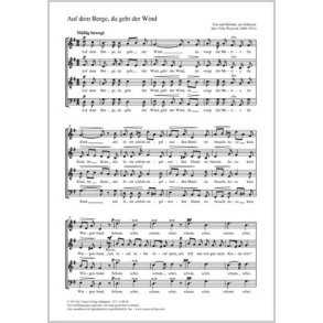 Auf dem Berge, da geht der Wind : G-Dur