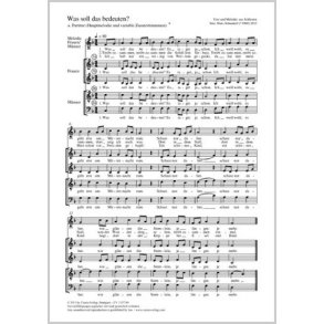 Was soll das bedeuten?