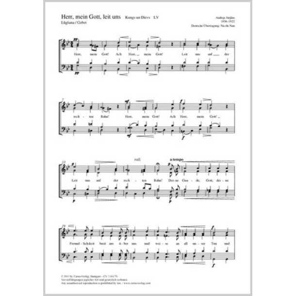 Herr, mein Gott, leit uns : g-Moll