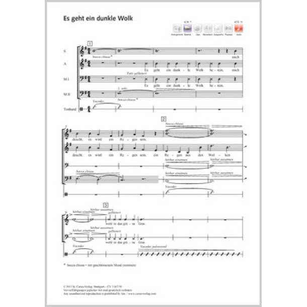 Es geht eine dunkle Wolk : e-Moll