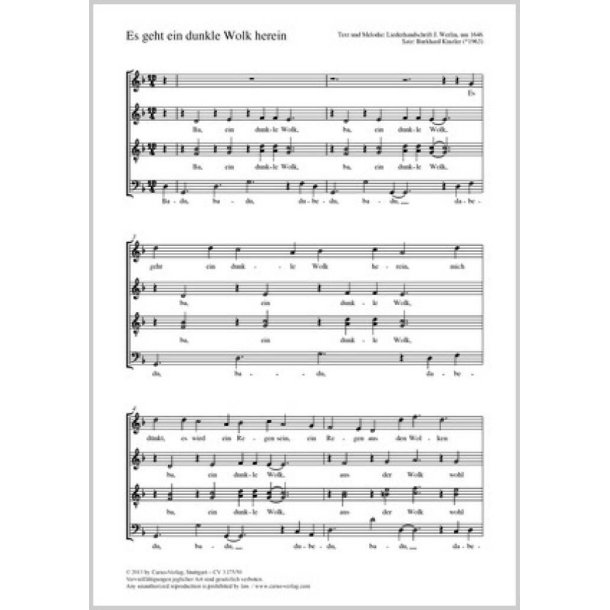 Es geht ein dunkle Wolk herein