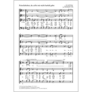 Feinsliebchen, du sollst mir nicht barfuß gehen