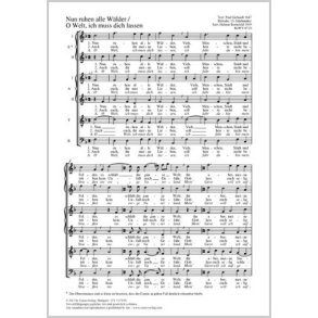 Nun ruhen alle Wälder : F-Dur