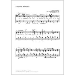 Schwäbisches Tanzliedchen : aus: Acht ausgewählte Volkslieder