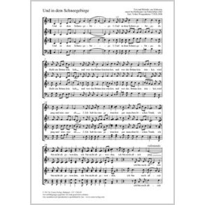 Und in dem Schneegebirge : F-Dur