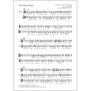 Ach, bittrer Winter