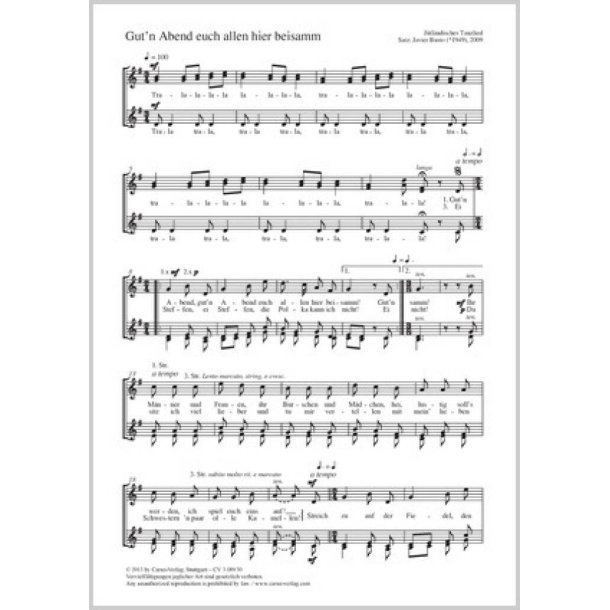 Gut'n Abend euch allen hier beisamm : J&uuml;tl&auml;ndisches Tanzlied