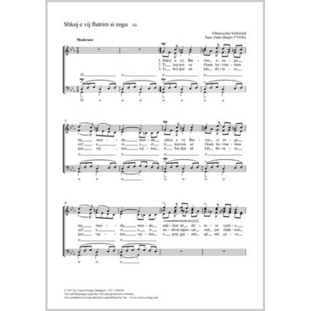 Shkoj e vij flutrim si zogu