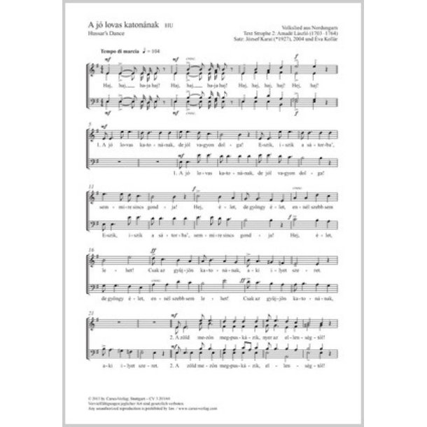 A j&oacute; lovas katon&aacute;nak