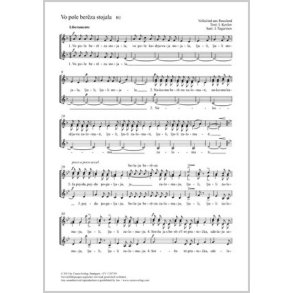 Vo pole bereza stojala