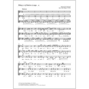 Shkoj e vij flutrim si zogu