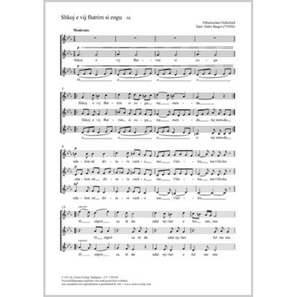 Shkoj e vij flutrim si zogu