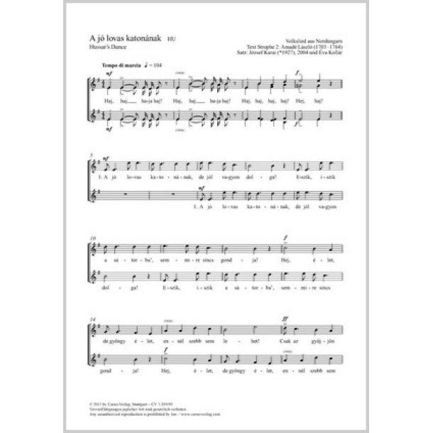 A j&oacute; lovas katon&aacute;nak