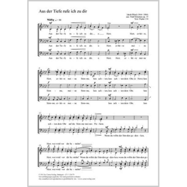 Aus der Tiefe rufe ich zu dir : aus: F&uuml;nf Motetten