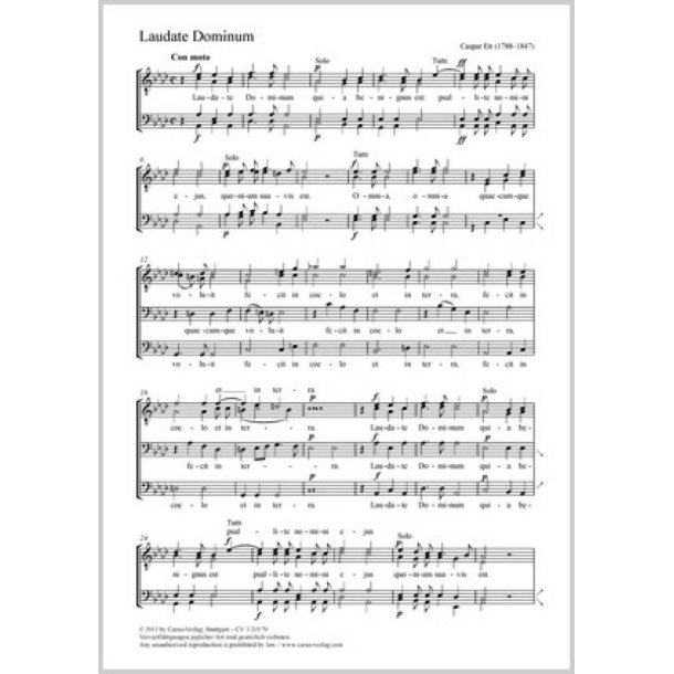 Laudate Dominum : Lobe den Herrn, denn er ist g&uuml;tig