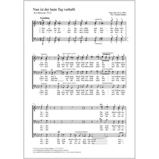 Nun ist der laute Tag verhallt : Ave Maria
