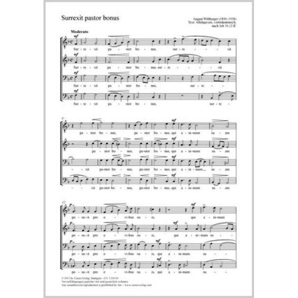 Surrexit pastor bonus : Auferstanden ist der gute Hirte