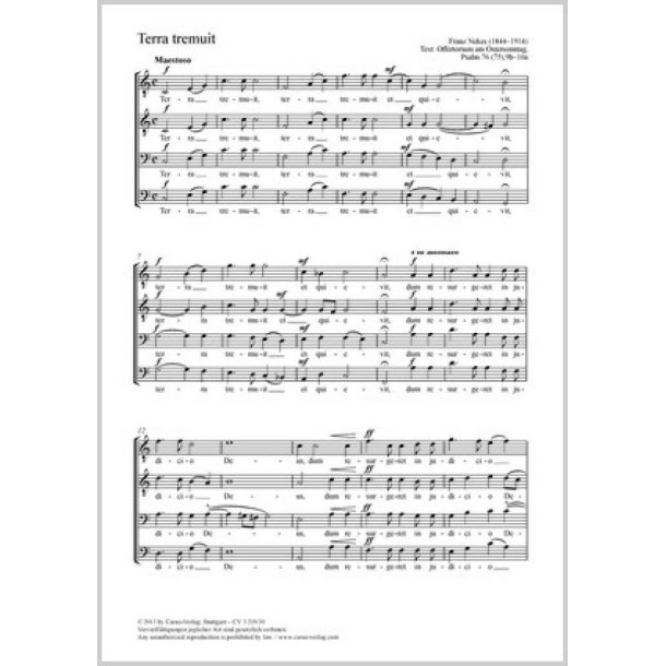 Terra tremuit [Die Erde erbebte und verstummte] : Offertorium am Ostersonntag