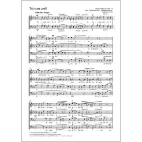 Tui sunt coeli [Dein sind die Himmel] : Offertorium der 3. Weihnachtsmesse