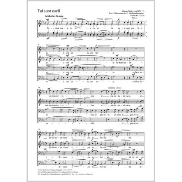 Tui sunt coeli [Dein sind die Himmel] : Offertorium der 3. Weihnachtsmesse