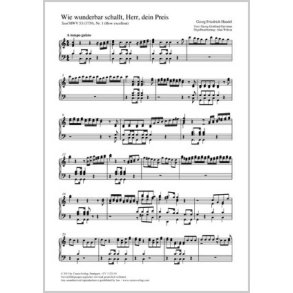 Wie wunderbar schallt, Herr, dein Preis : How excellent aus: Saul