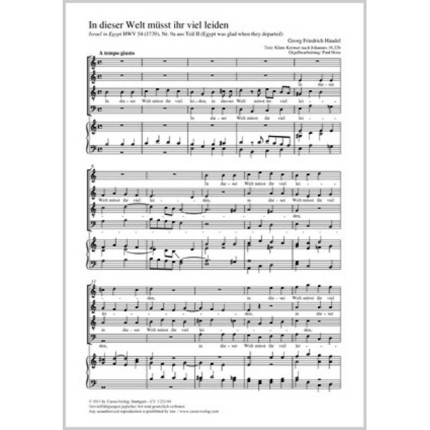 In dieser Welt m&uuml;sst ihr viel leiden : Egypt was glad aus: Israel in Egypt