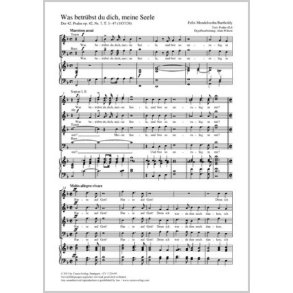 Was betrübst du dich, meine Seele : aus: Der 42. Psalm Wie der Hirsch schreit