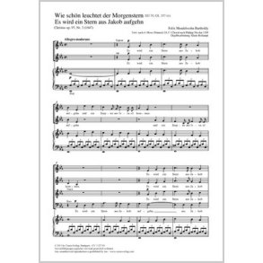 Es wird ein Stern aus Jakob aufgehn : aus: Christus op. 97