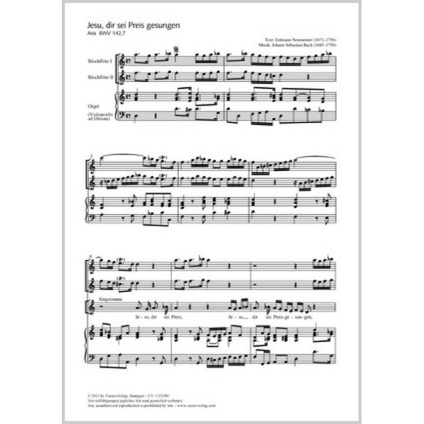Jesu, dir sei Preis gesungen : Aria