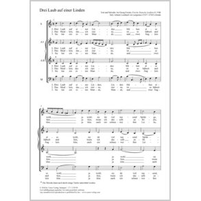 Drei Laub Auf Einer Linden : C Major