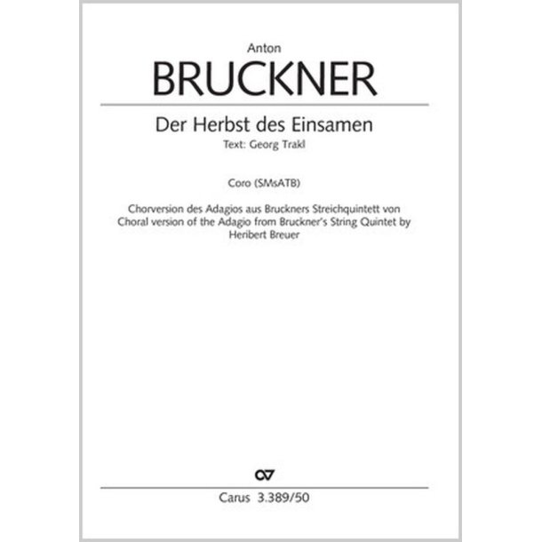 Der Herbst des Einsamen