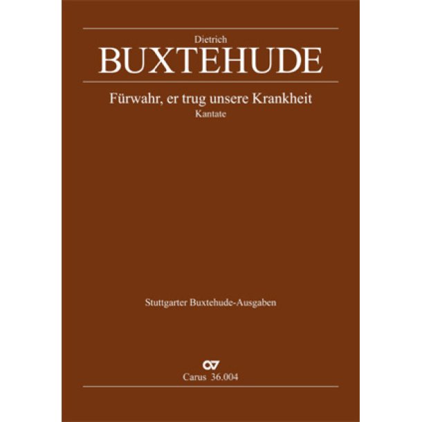 F&uuml;rwahr, er trug unsere Krankheit