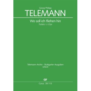 Wo soll ich fliehen hin : Kantate zum 22. Sonntag nach Trinitatis