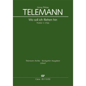 Wo soll ich fliehen hin : Kantate zum 22. Sonntag nach Trinitatis