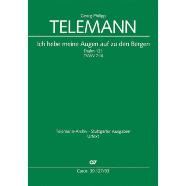 Ich hebe meine Augen auf zu den Bergen : Psalm 121