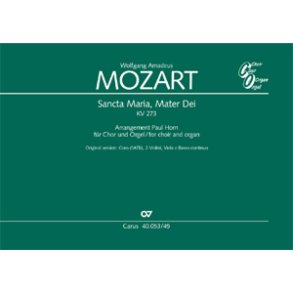 Sancta Maria, Mater Dei : Motette