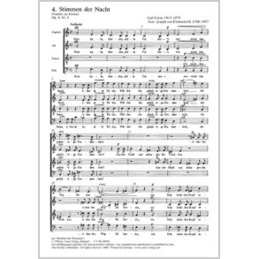 Stimmen der Nacht : Nachts im Freien